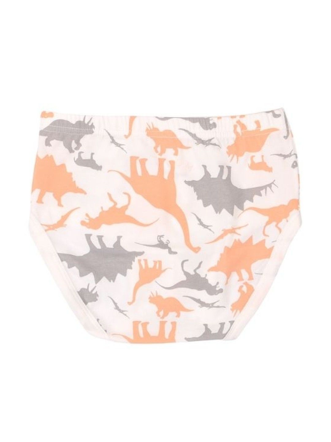 Meet My Feet Move Cal - Briefs (Underwear for Boys) (No Color- Image 3)