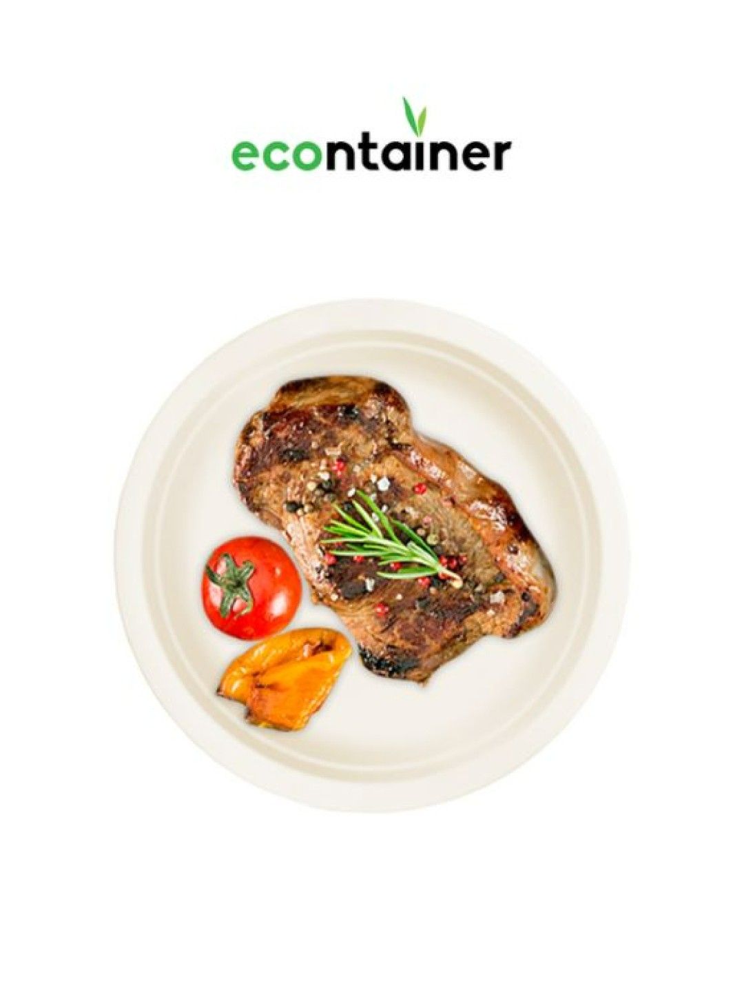 Econtainer Sugarcane Bagasse Plate Compostable and Eco-friendly (9 inches) - Pack of 50 (No Color- Image 3)