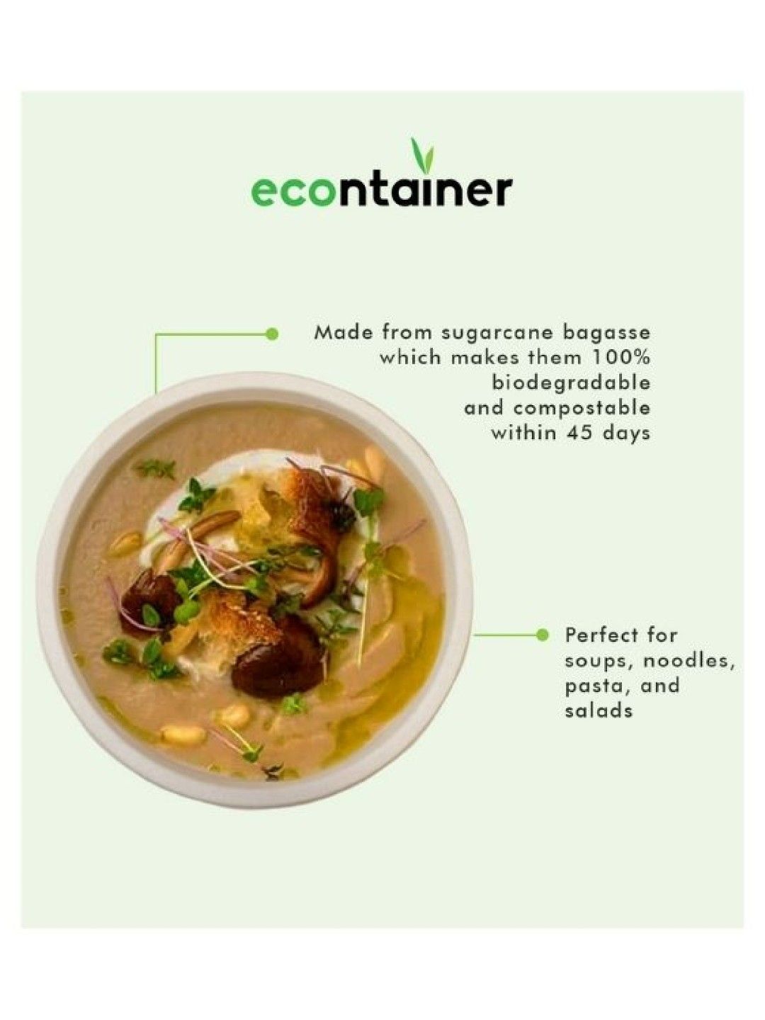 Econtainer Sugarcane Bagasse Classic Bowl Compostable and Eco-friendly (1000ml)- Pack of 50 (without Lid- Image 3)