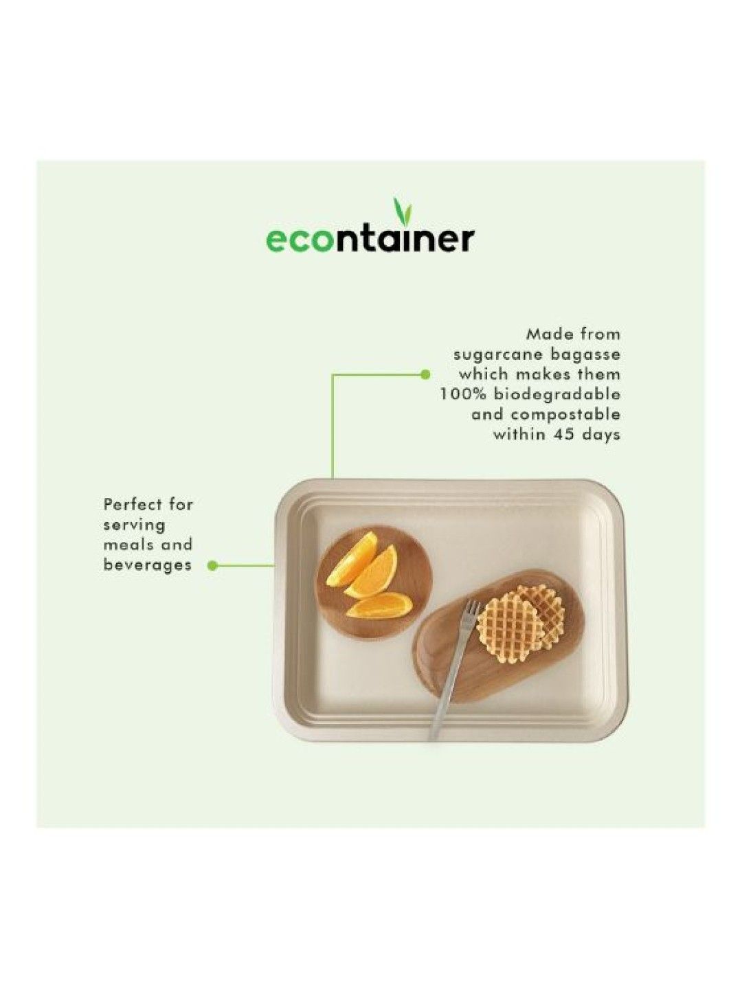 Econtainer Rectangular Serving Tray Compostable and Eco-friendly - Pack of 50 (No Color- Image 3)