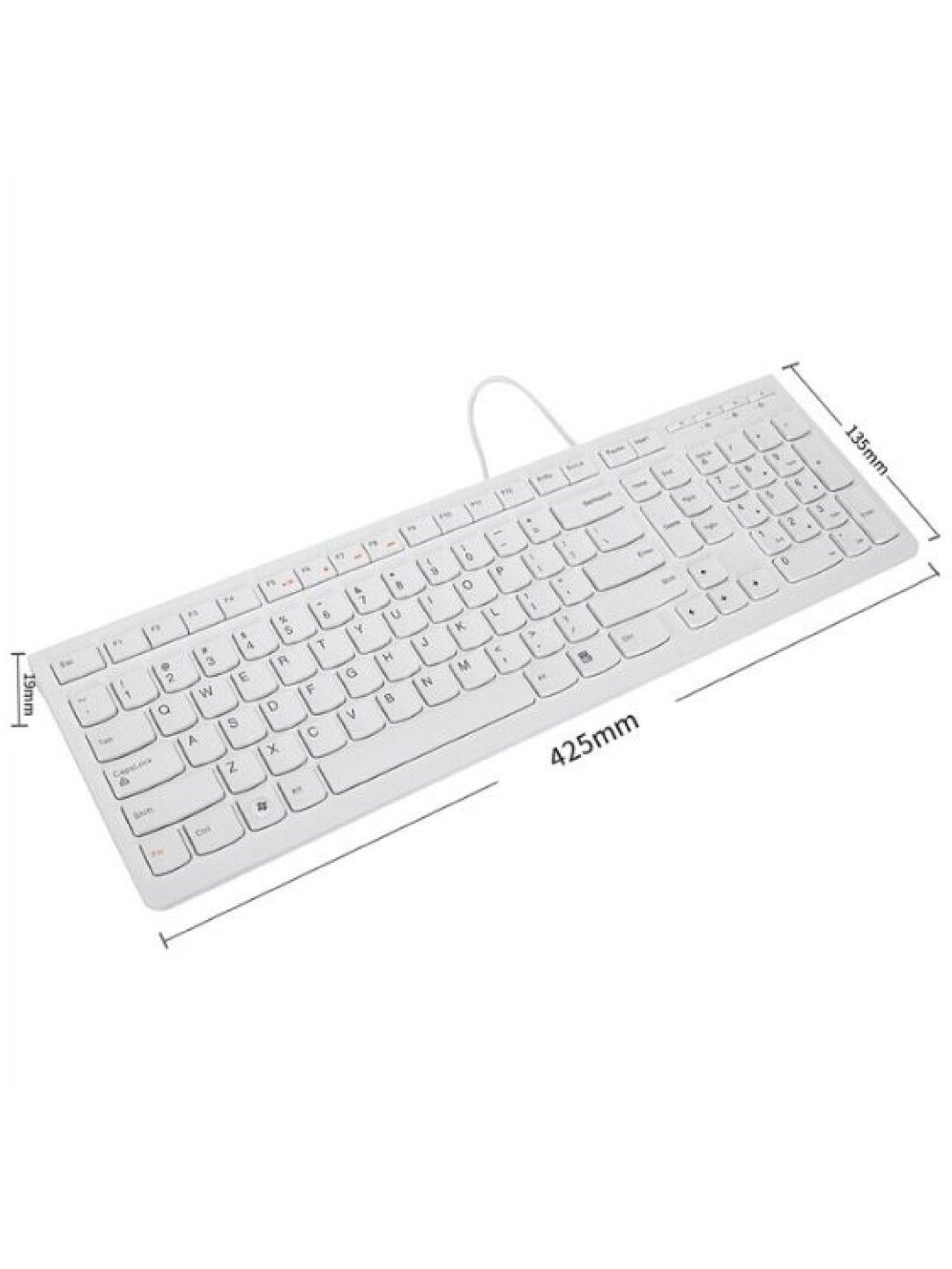 Lenovo K5819 US 104-Keys Keyboard (White- Image 3)