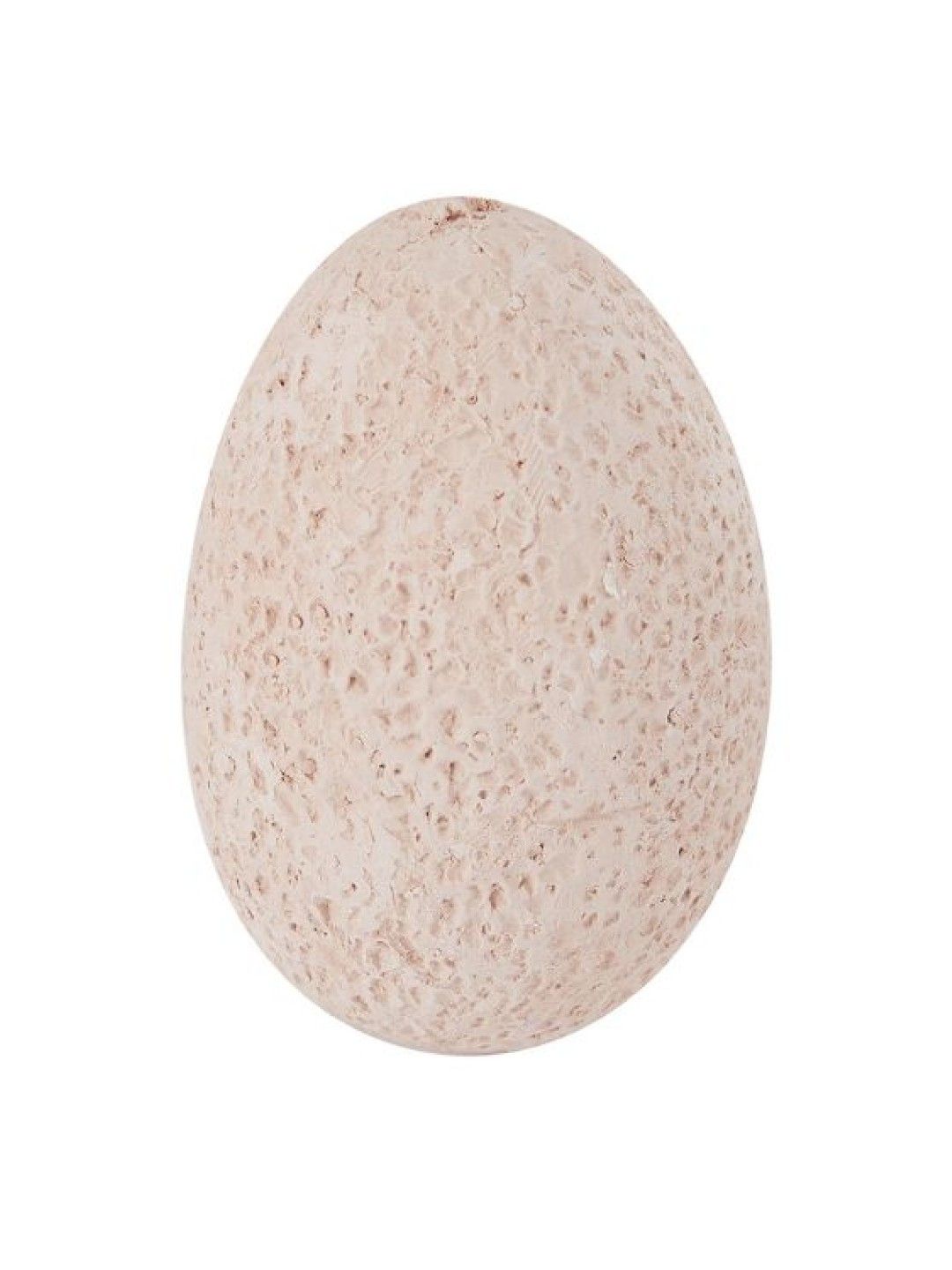 Anko Dinosaur Egg (No Color- Image 3)