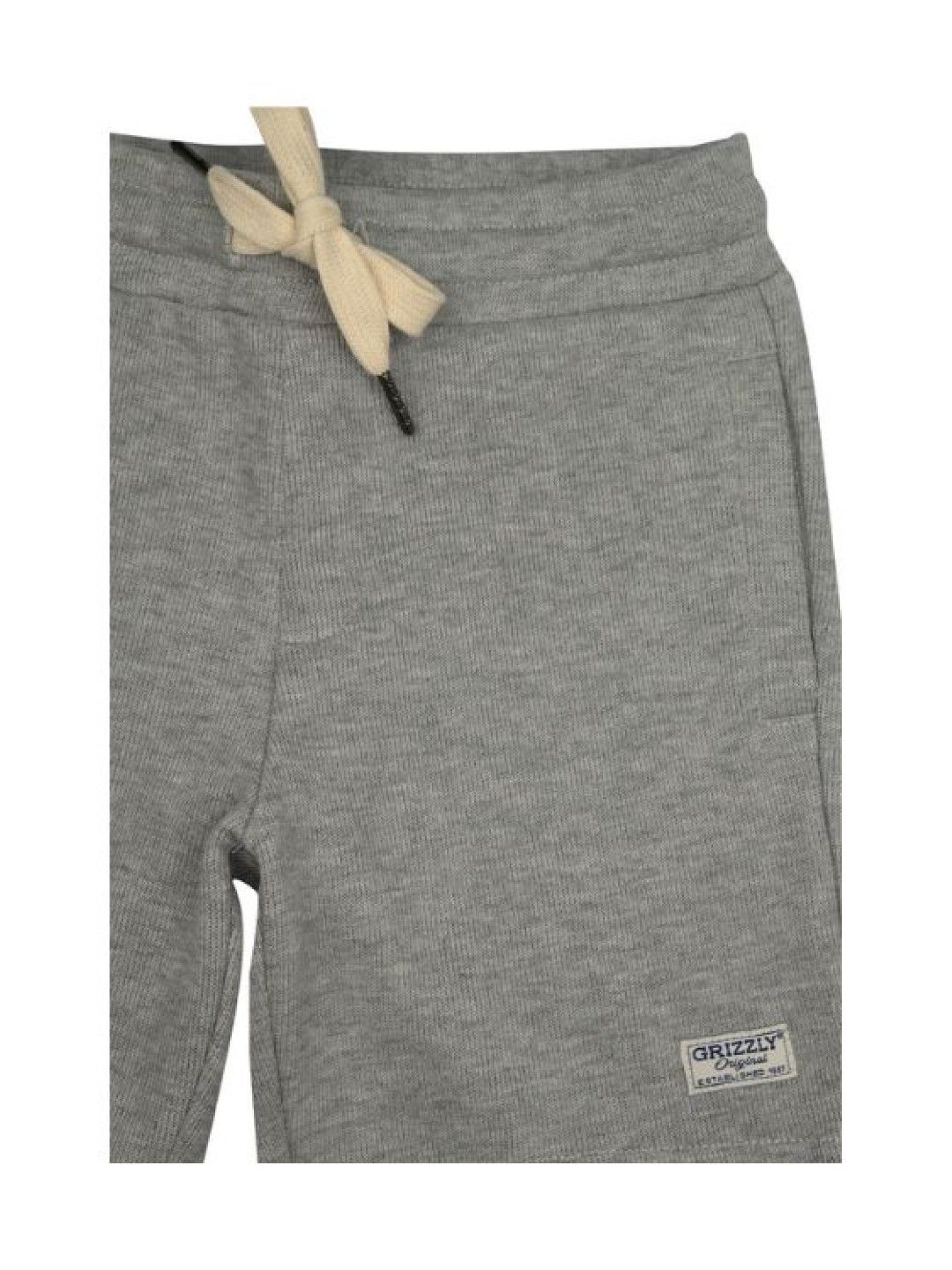 Grizzly Toddler Boys Shorts (Gray- Image 3)