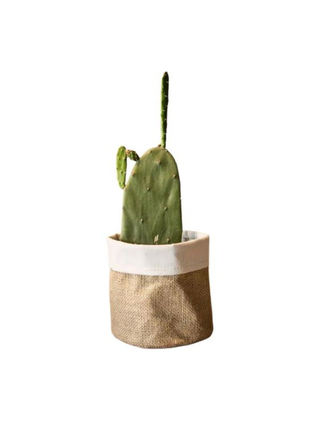 Puting Decorative Flower Pot Covers (Jute- Image 3)