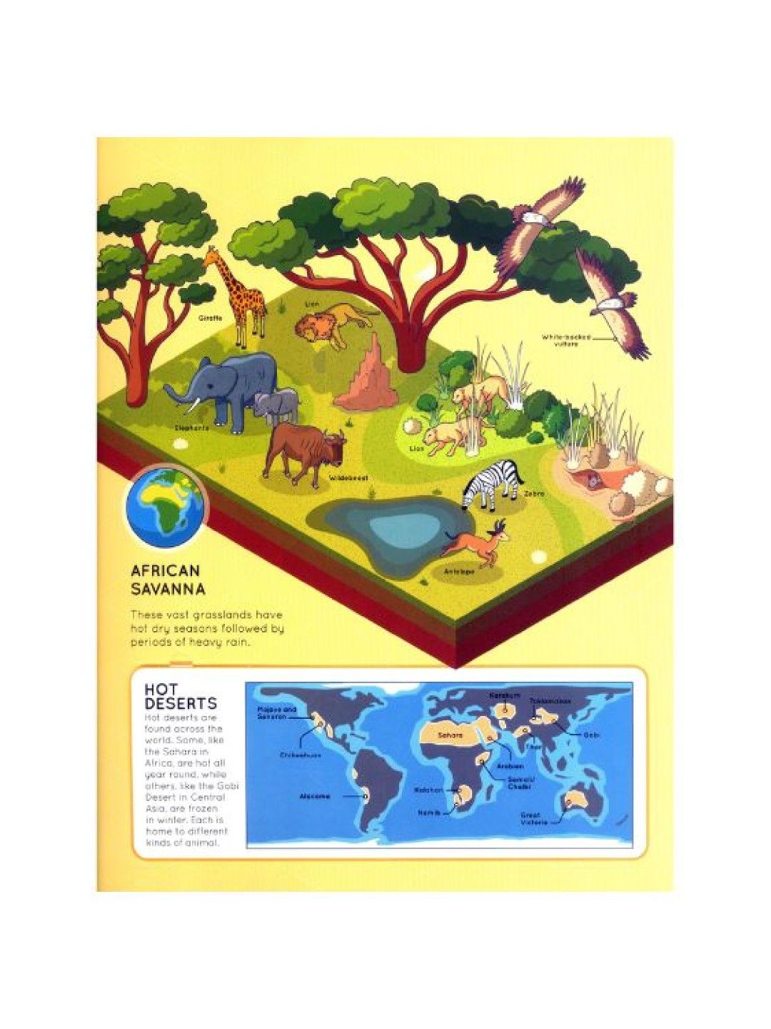Learning is Fun Lift the Flaps (Animals- Image 3)