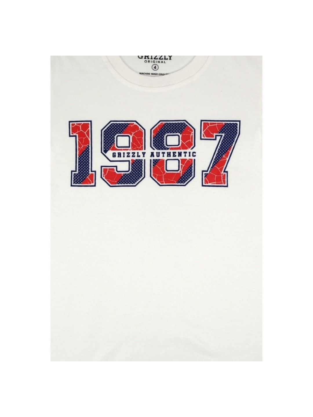 Grizzly Boys Short Sleeve Round Neck with Special Print (White- Image 3)