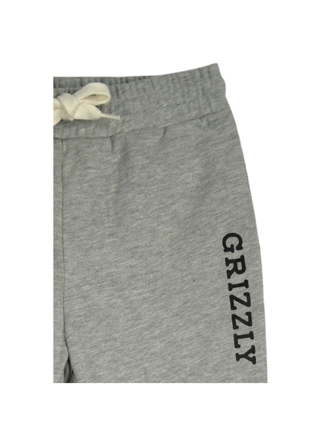 Grizzly Boys Jogger Pants with Pocket and High Density Print (Gray- Image 3)