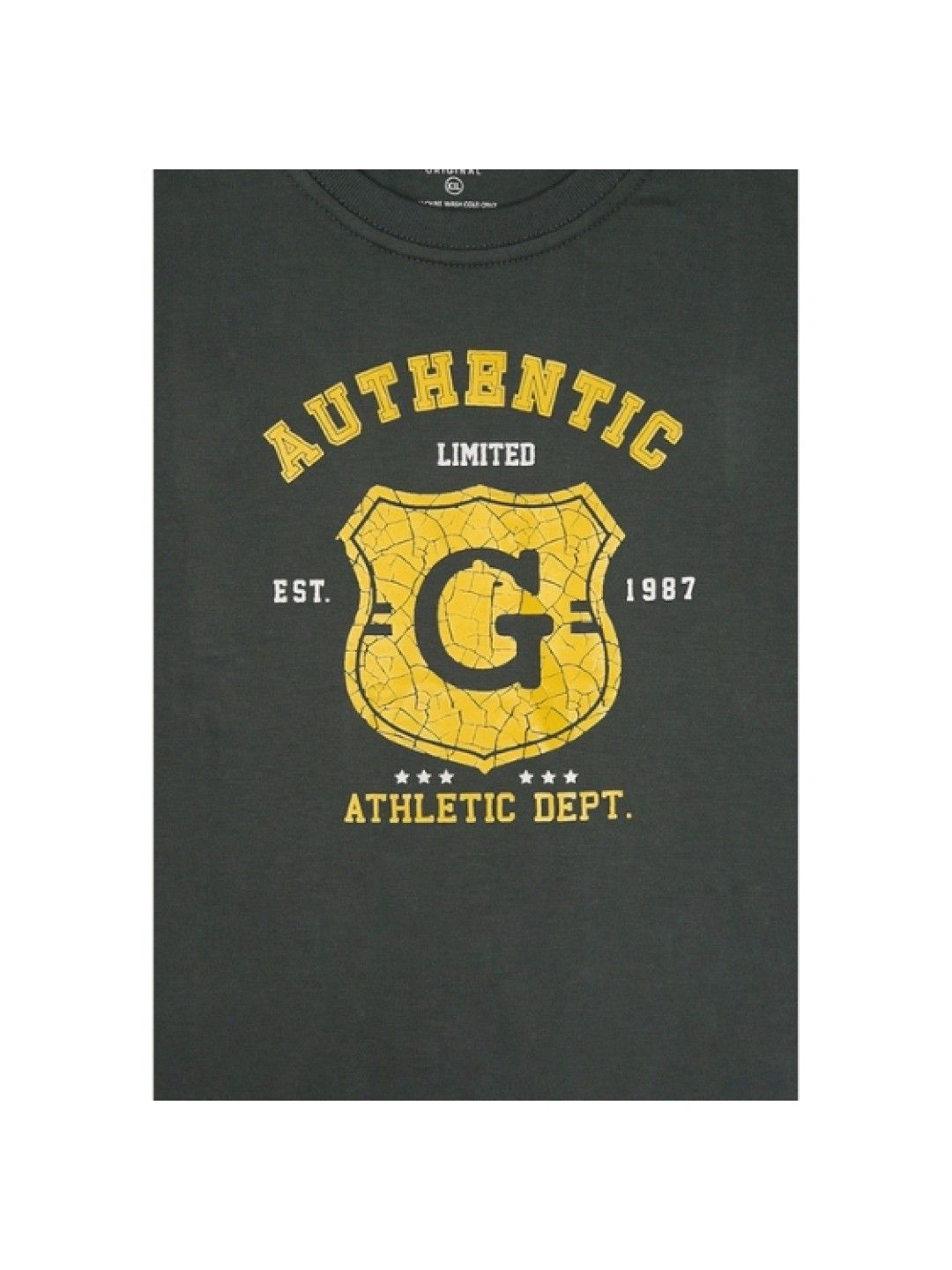 Grizzly Boys Short Sleeve Round Neck Tees With Print (Grey- Image 3)