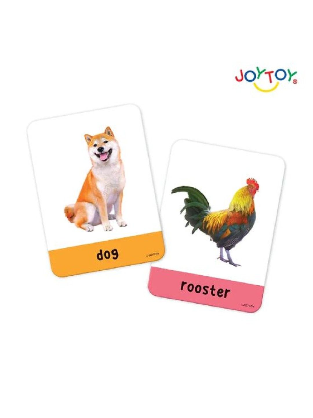 Joytoy Animals Pictures Flash cards (No Color- Image 3)