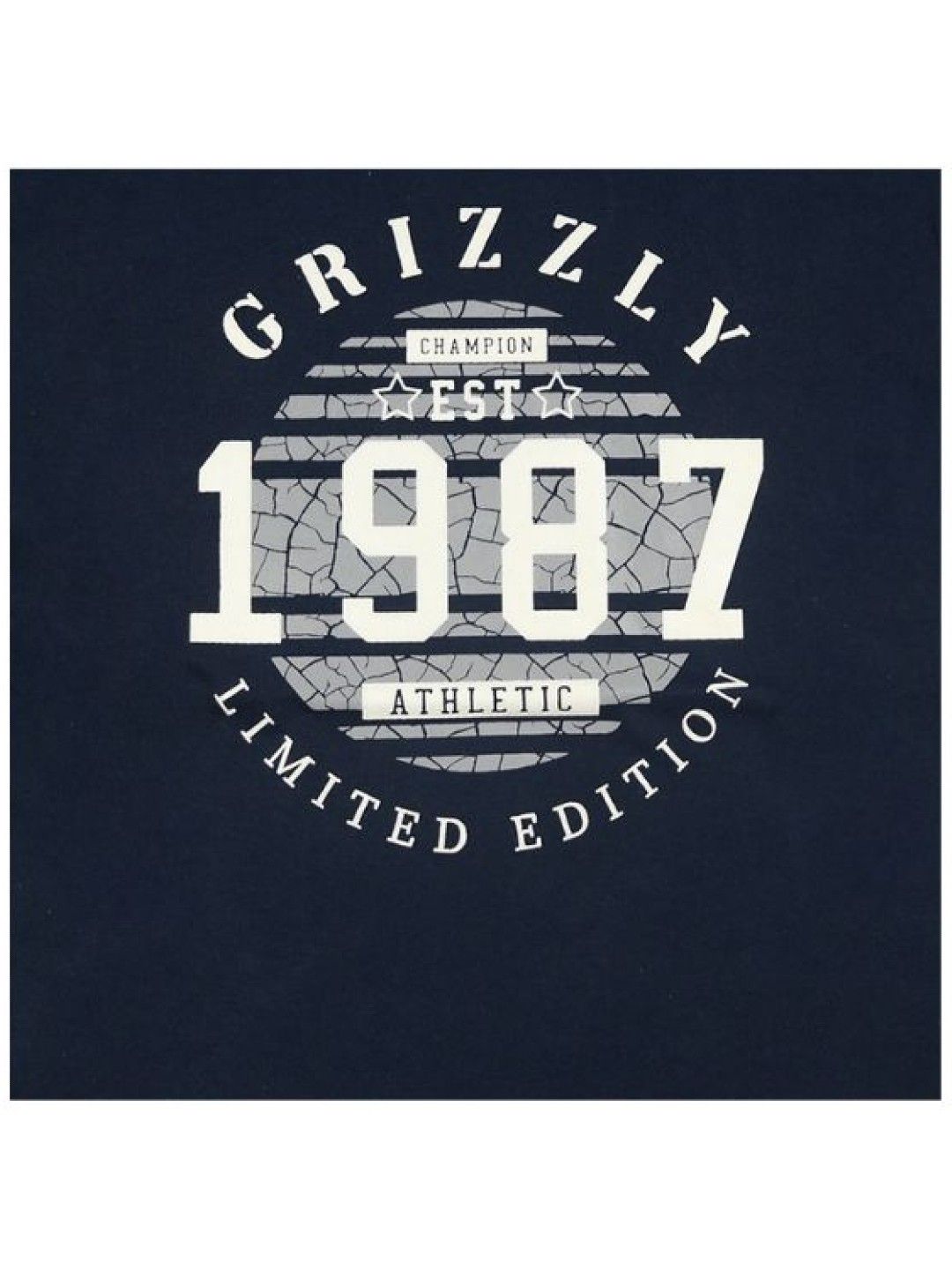 Grizzly Boys Round Neck Short Sleeve Tees With Print (Navy Blue- Image 3)