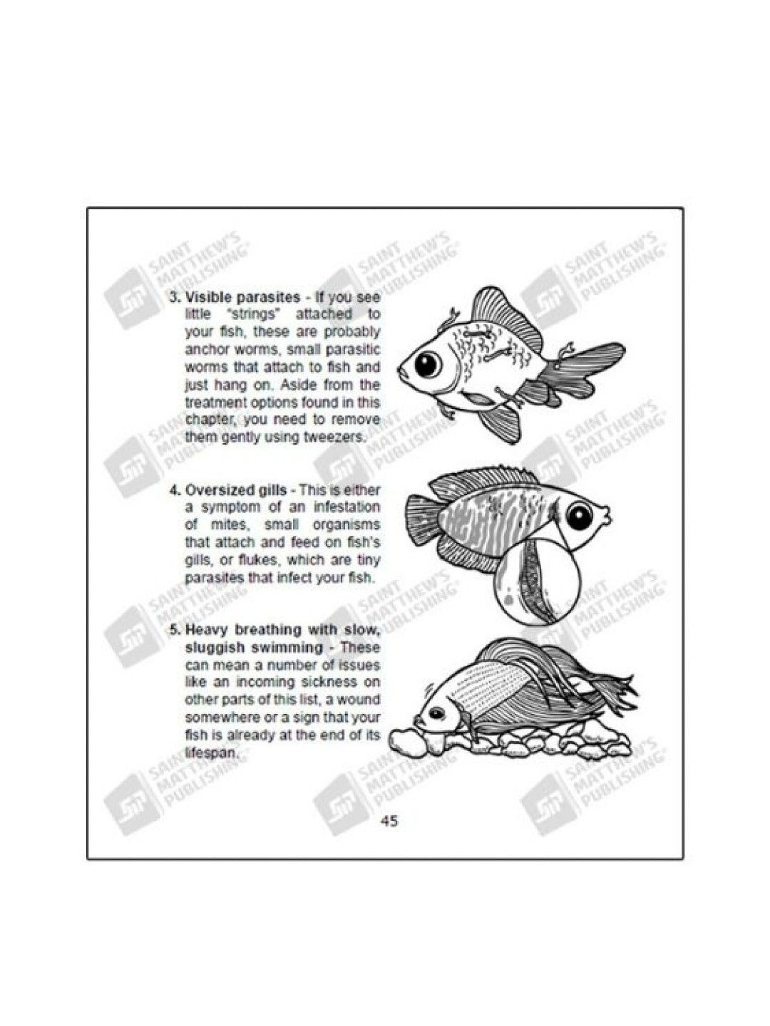 Kahel Press Fish be WIth You (No Color- Image 4)