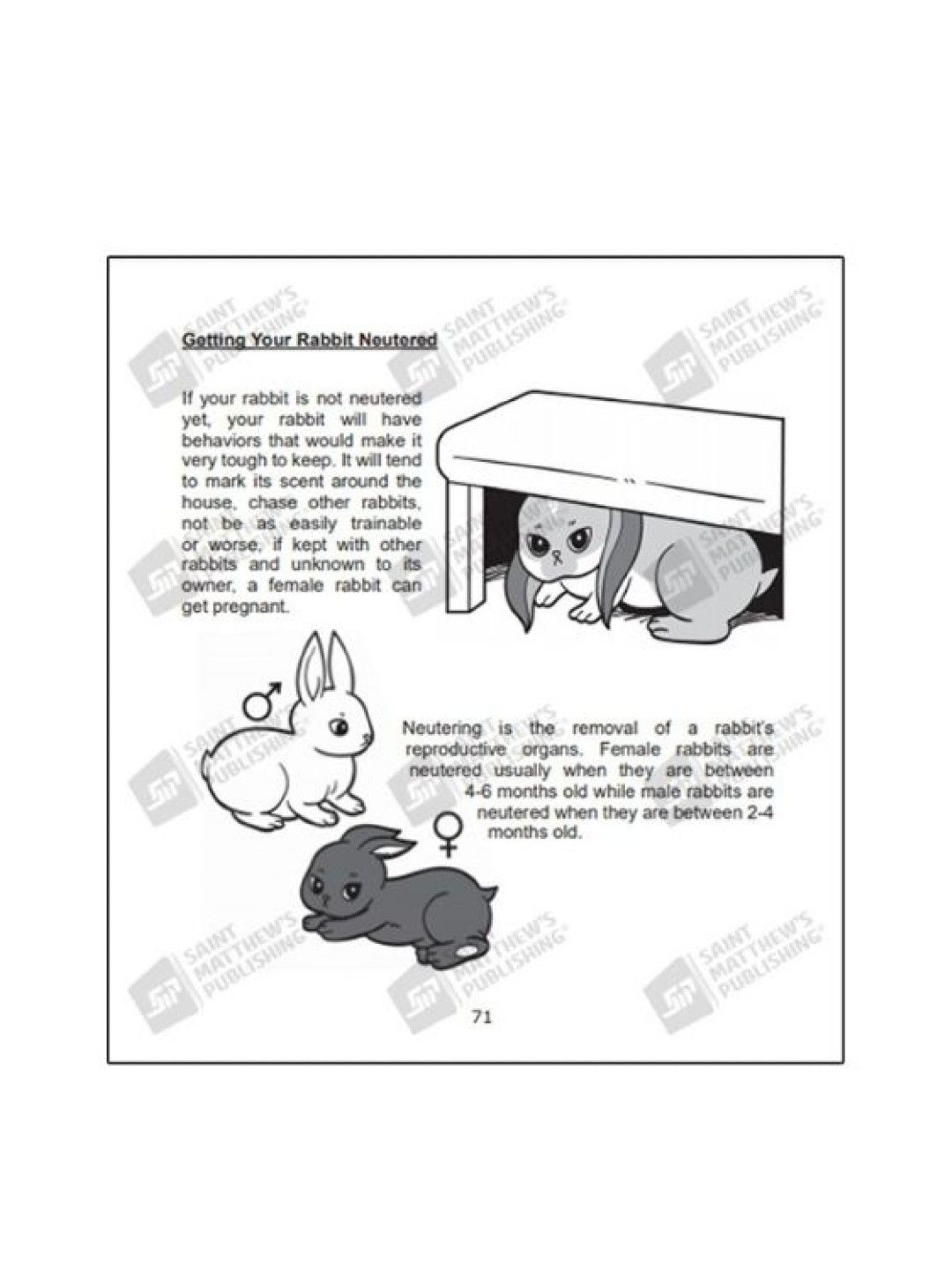 Kahel Press Some Bunny to Love (No Color- Image 4)