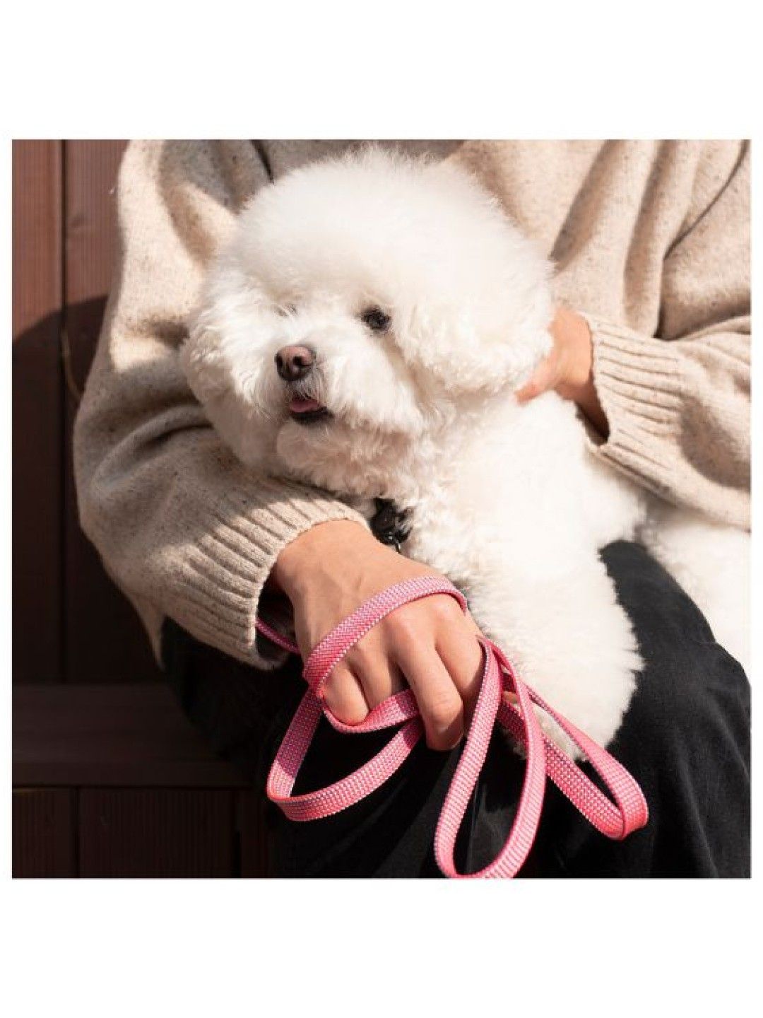 Howlpot We are tight Ribbon Leash - Flamingo (No Color- Image 3)