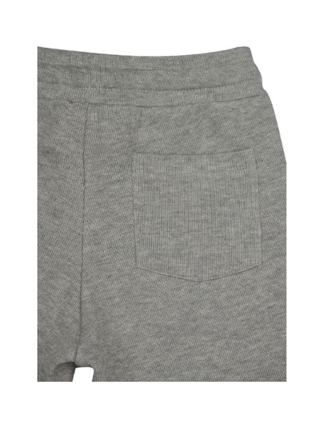 Grizzly Toddler Boys Shorts (Gray- Image 4)