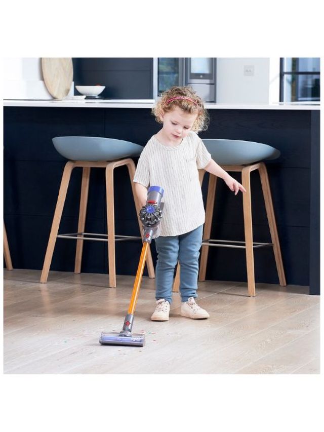 Casdon Dyson Cord-Free Vacuum