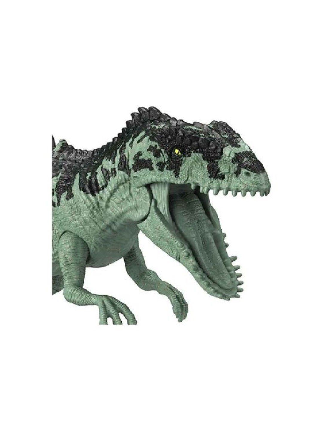 Jurassic World 3 Sound Surge Dinosaurs with Roaring Sounds - Giganotosaurus (No Color- Image 4)