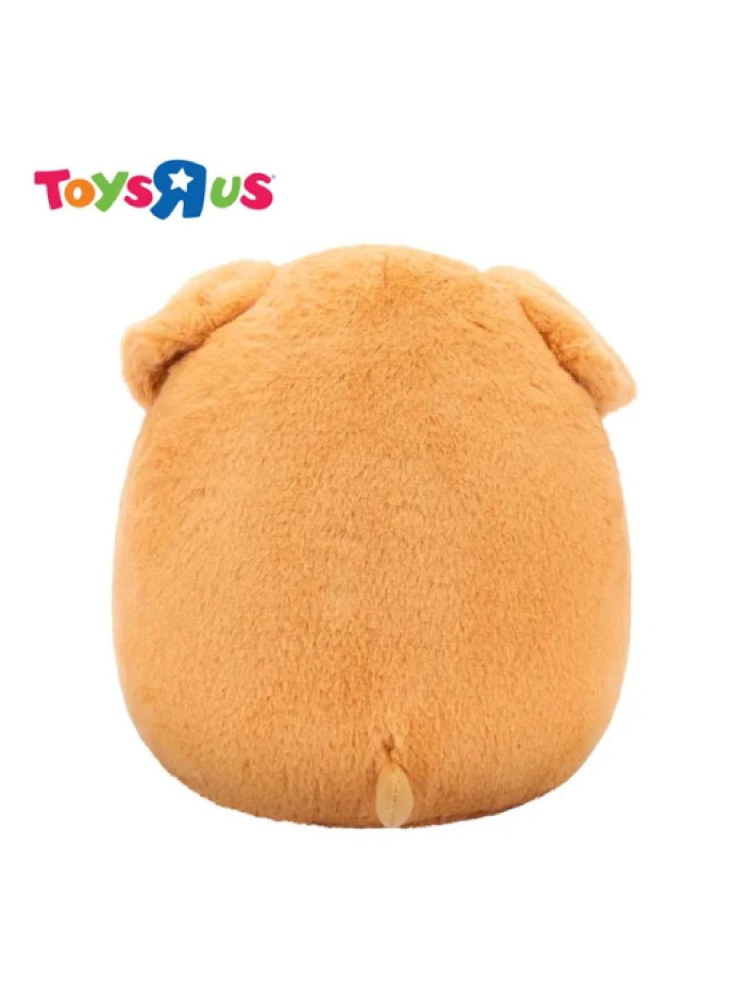 Toys R Us Squishmallows Fuzzamallows 12-Inch - Stevon (No Color- Image 4)