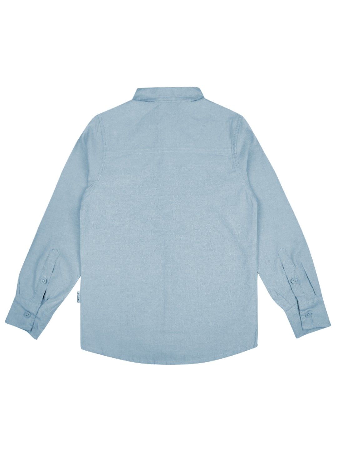 Grizzly Long Sleeve (Sky Blue- Image 2)