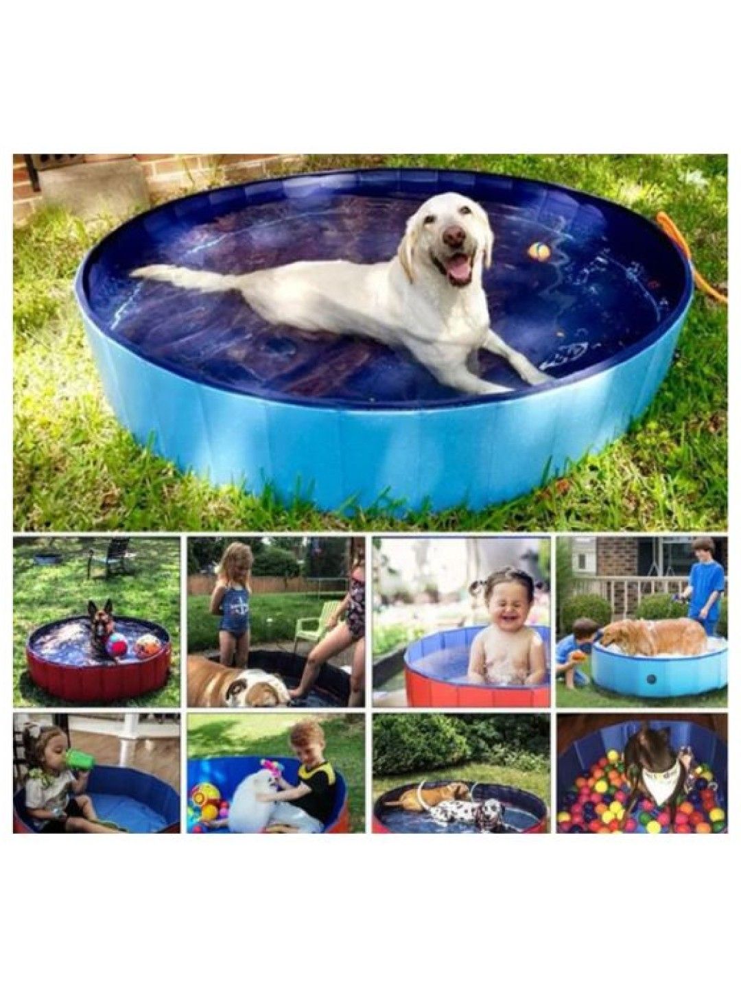 QT Hub Multi Purpose Pool (160 x 30cm) (Blue- Image 4)