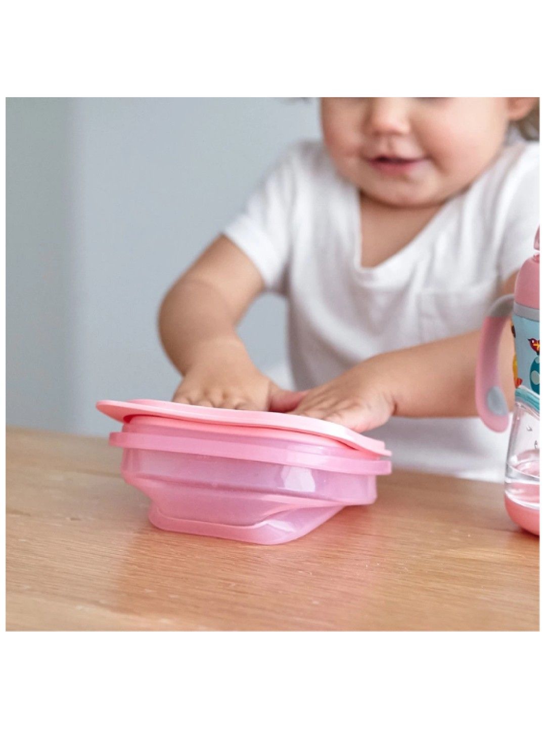 Marcus & Marcus Silicone Collapsible Container (Pastel Pink- Image 4)