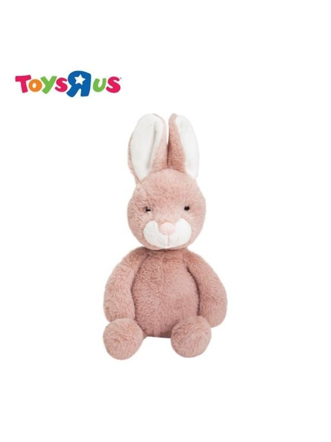 Toys R Us Friends For Life Plush Toy - Punny Buns (Pink) (No Color- Image 1)