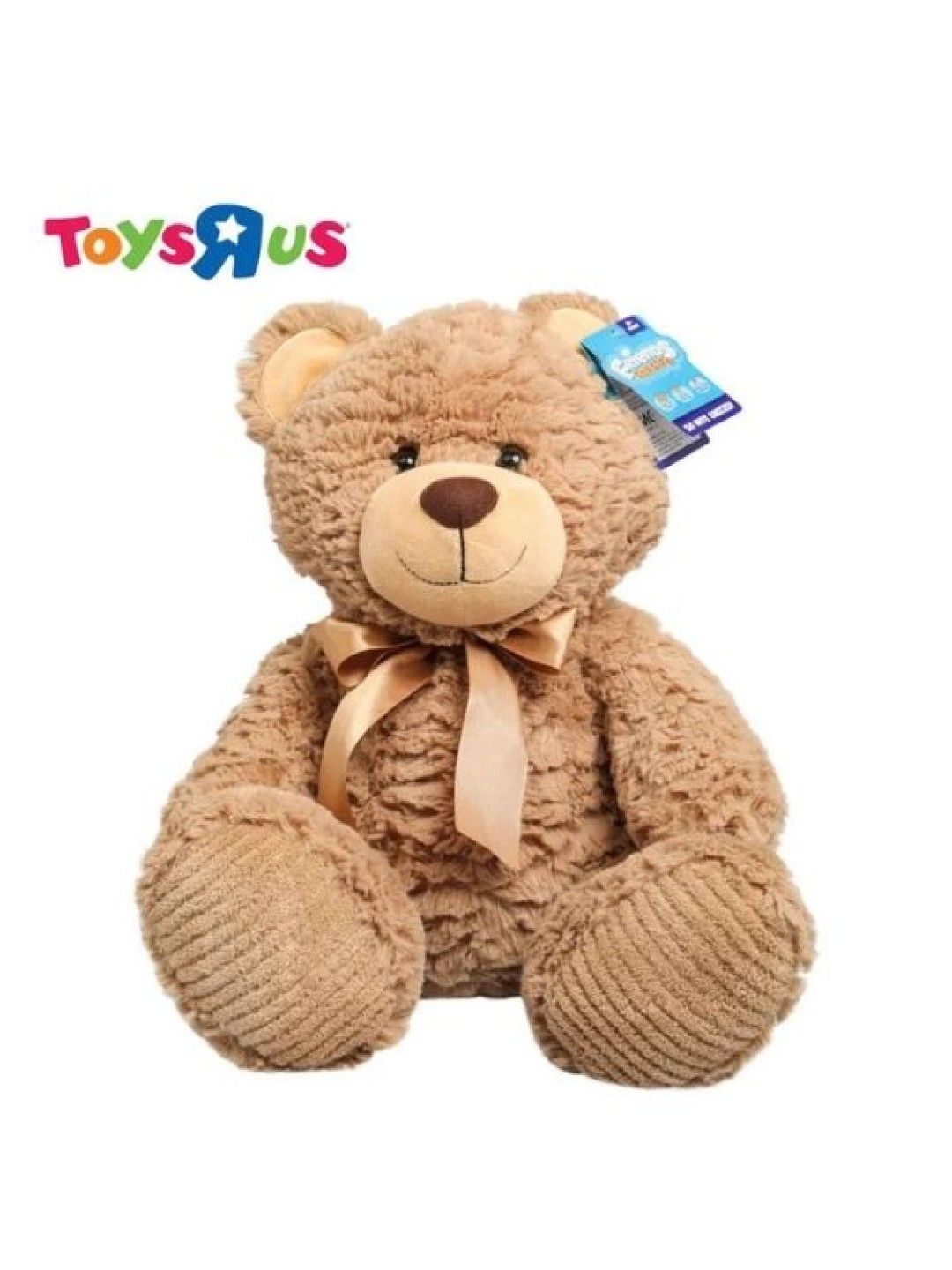 Toys R Us Friends For Life Plush Toy So Not Grizzly (No Color- Image 1)