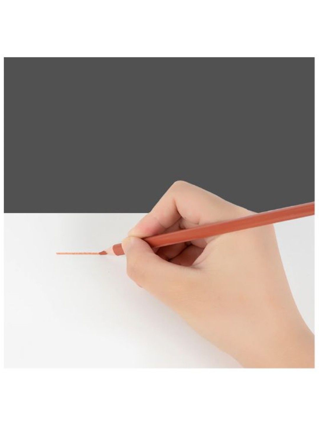 Y-PLUS+ WE-TRI Erasable Color Pencils (24 Colors) (No Color- Image 4)