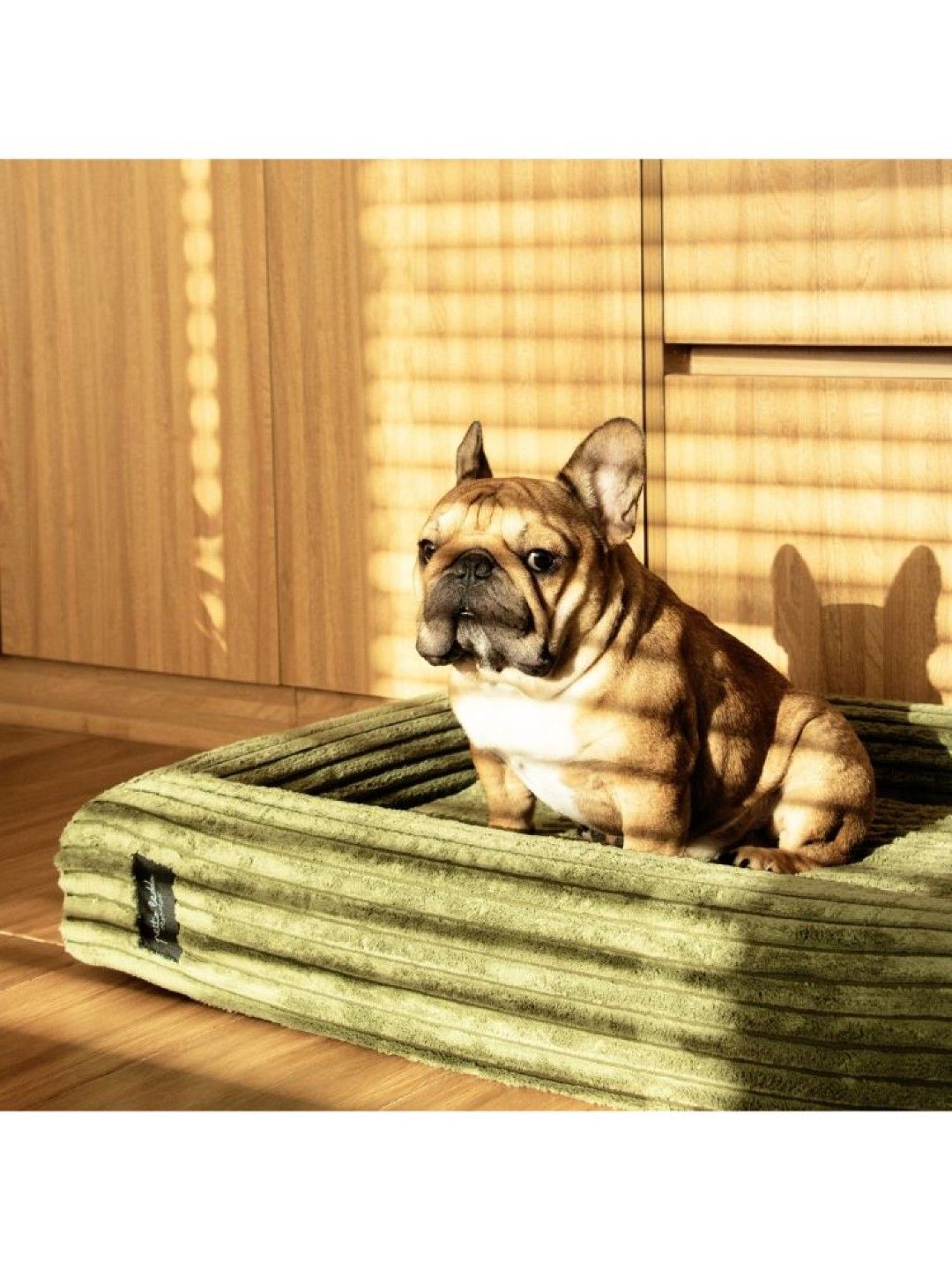 Petto Beddo Pet Bed - Green Corduroy (No Color- Image 4)