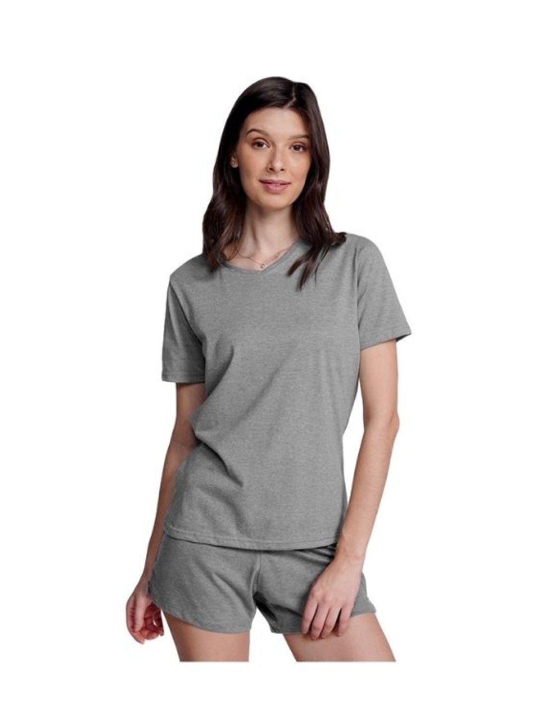 INSPI Ladies Premium - V-Neck Plain Shirt (Acid Gray- Image 1)