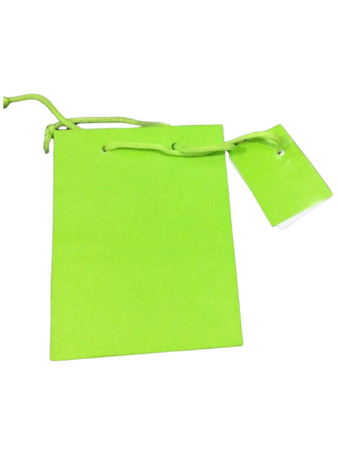 QT Hub Small gift paper bag (Apple Green- Image 1)