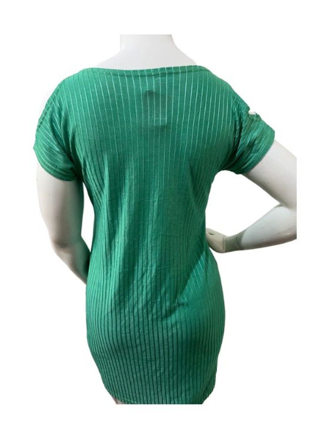 QT Hub Freesize Dress (526) (Green- Image 2)