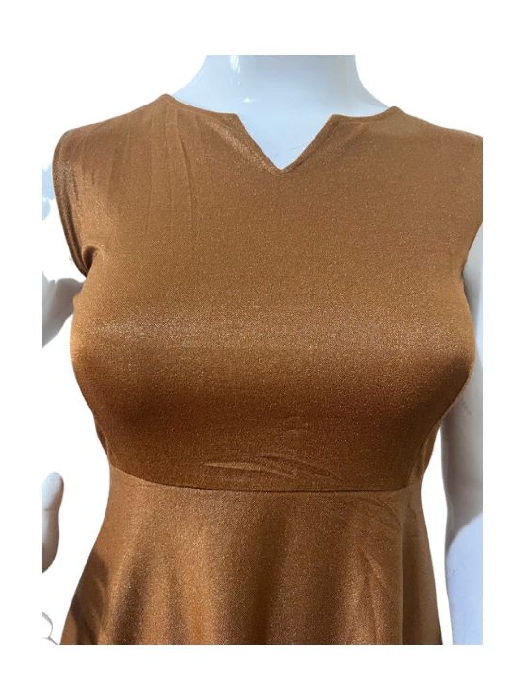 QT Hub Freesize Dress (235) (Sienna- Image 3)