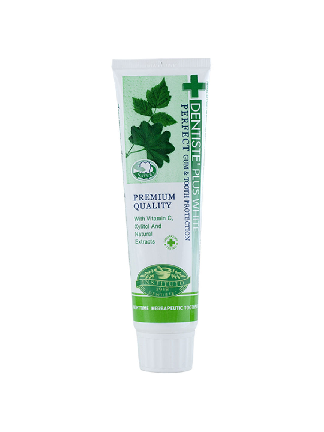 Dentiste Natural Toothpaste (100g)