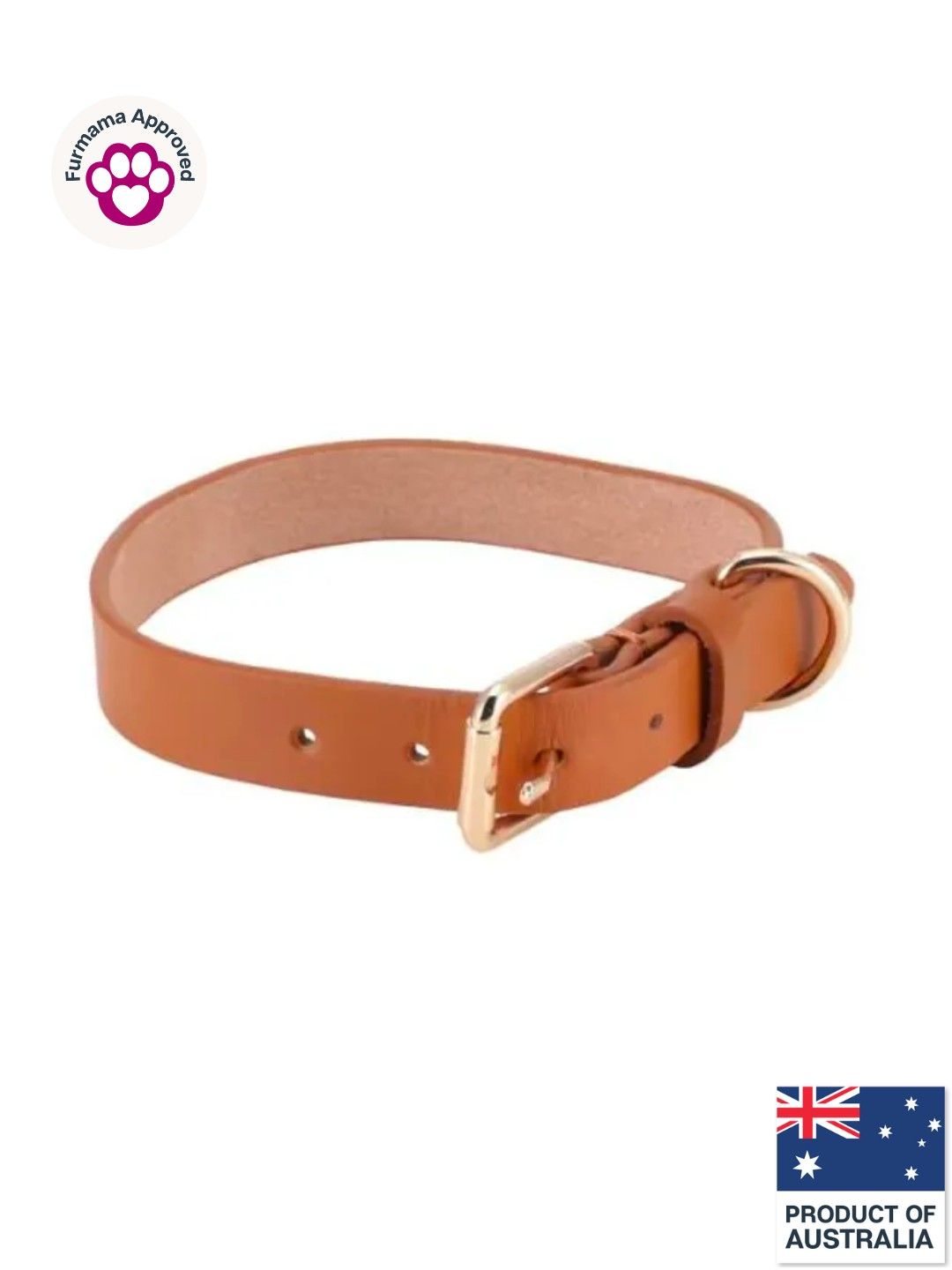 Anko Dog Collar Leather