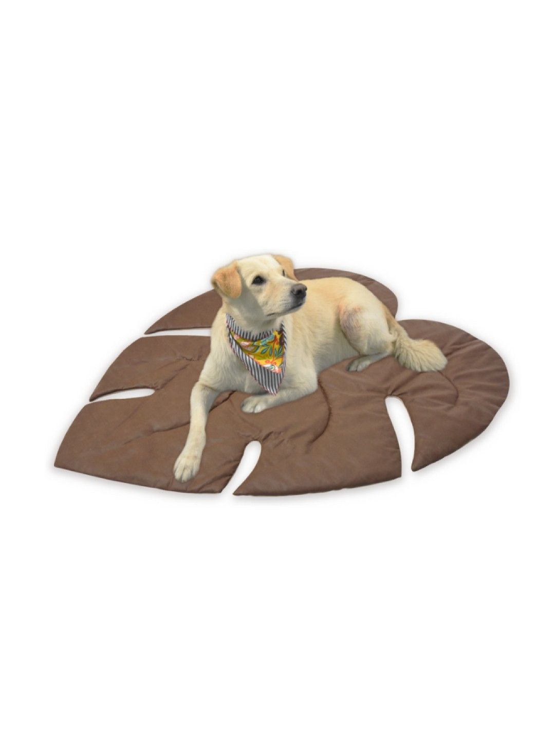 PUPKITS Pet Mat (Brown Leaf- Image 4)