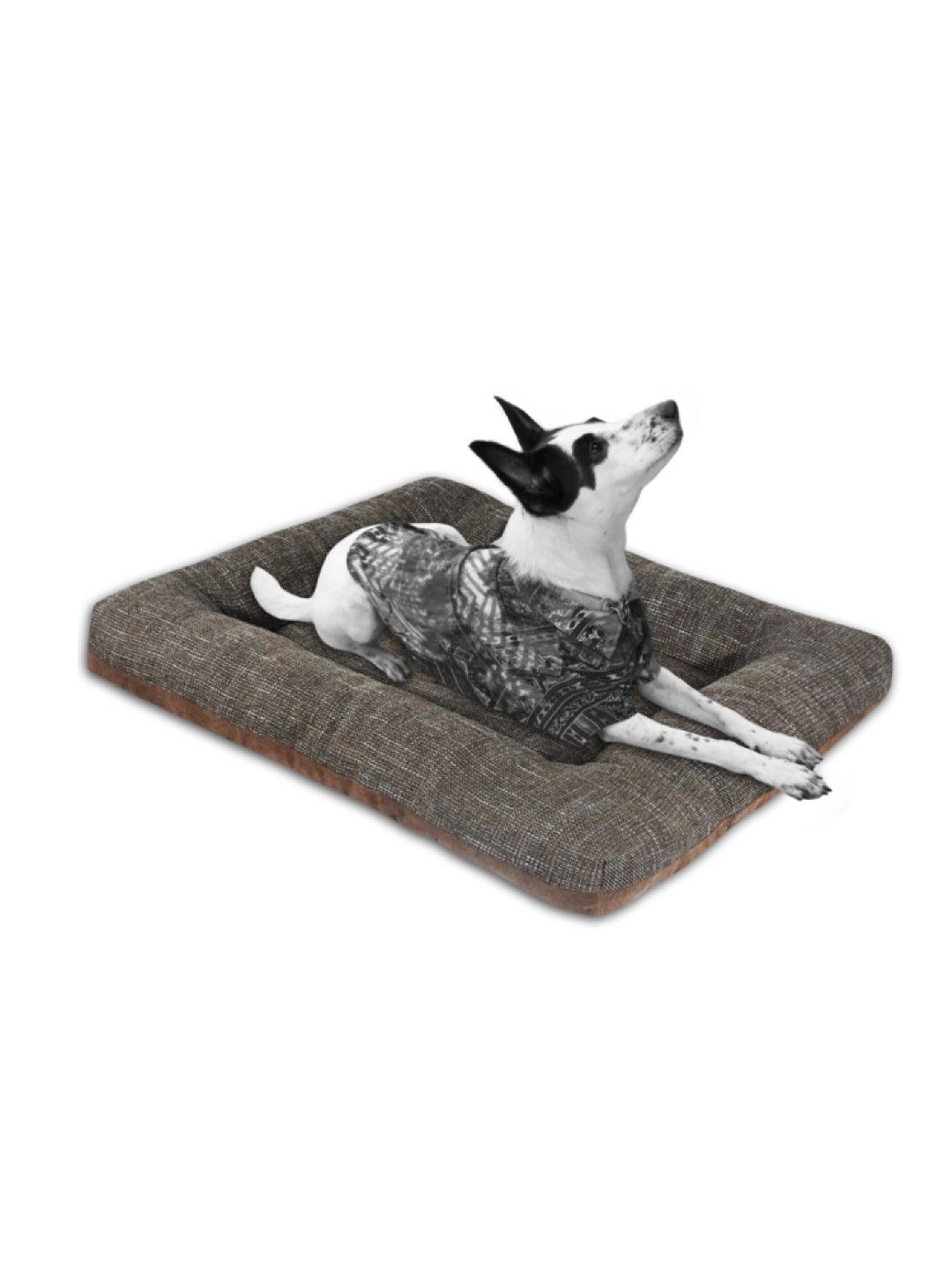 PUPKITS Pet Mat (Hazel- Image 4)