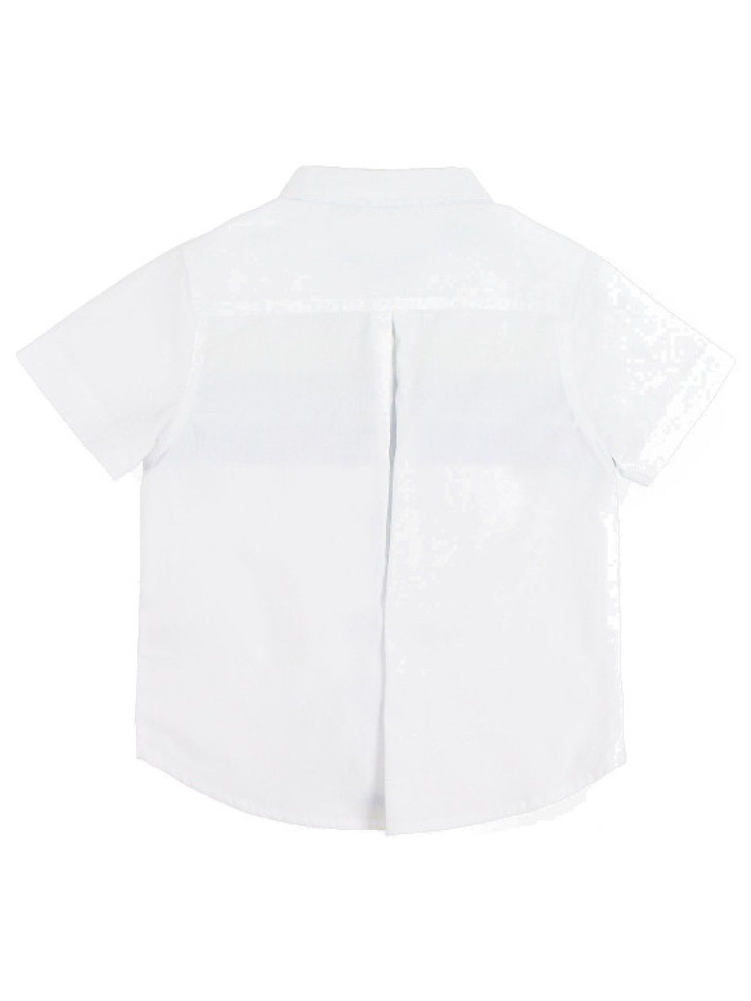 Periwinkle Eddard Short Sleeve Polo (White- Image 2)