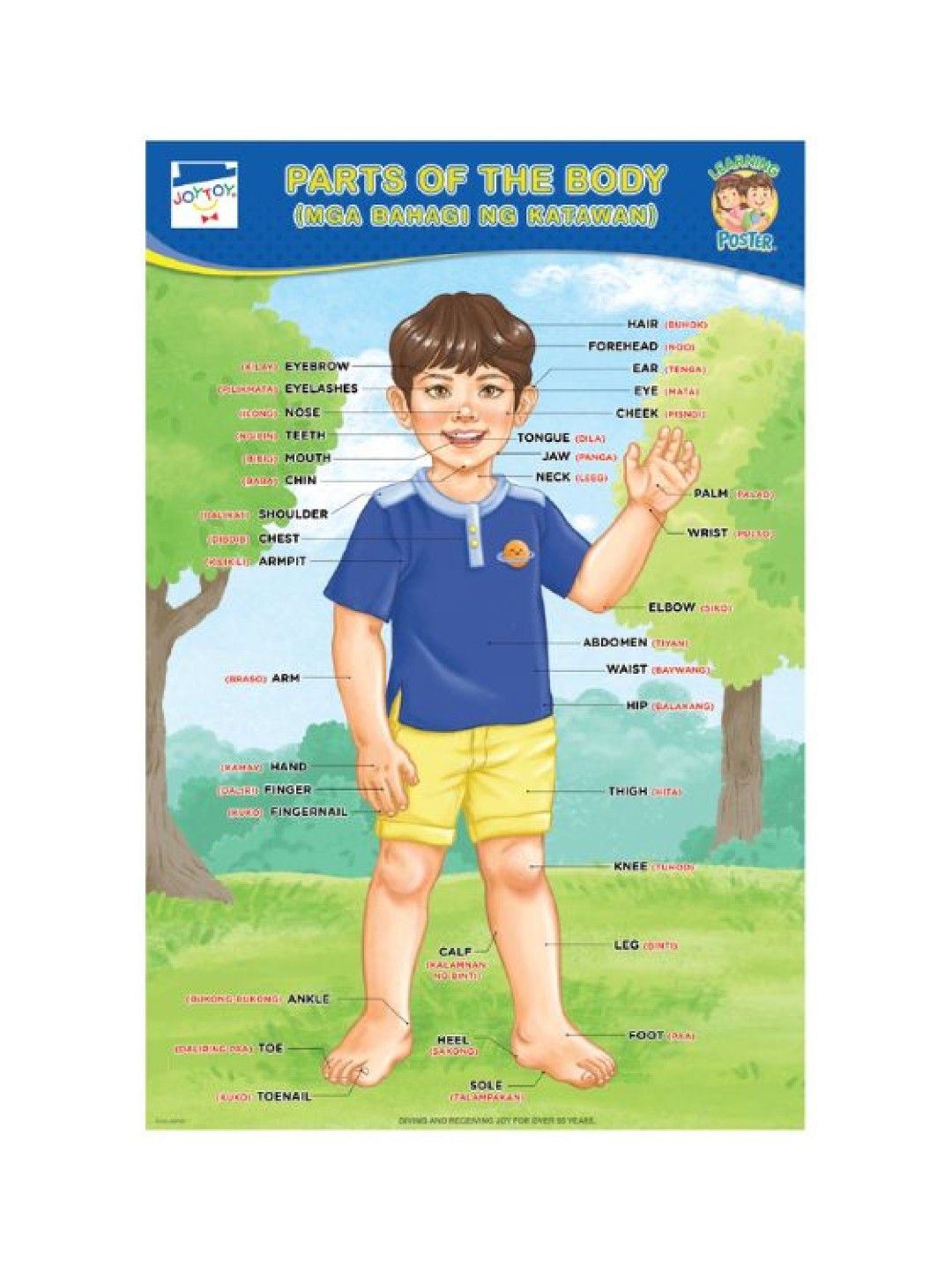 Joytoy Parts Of The Body Poster-Boy (No Color- Image 1)
