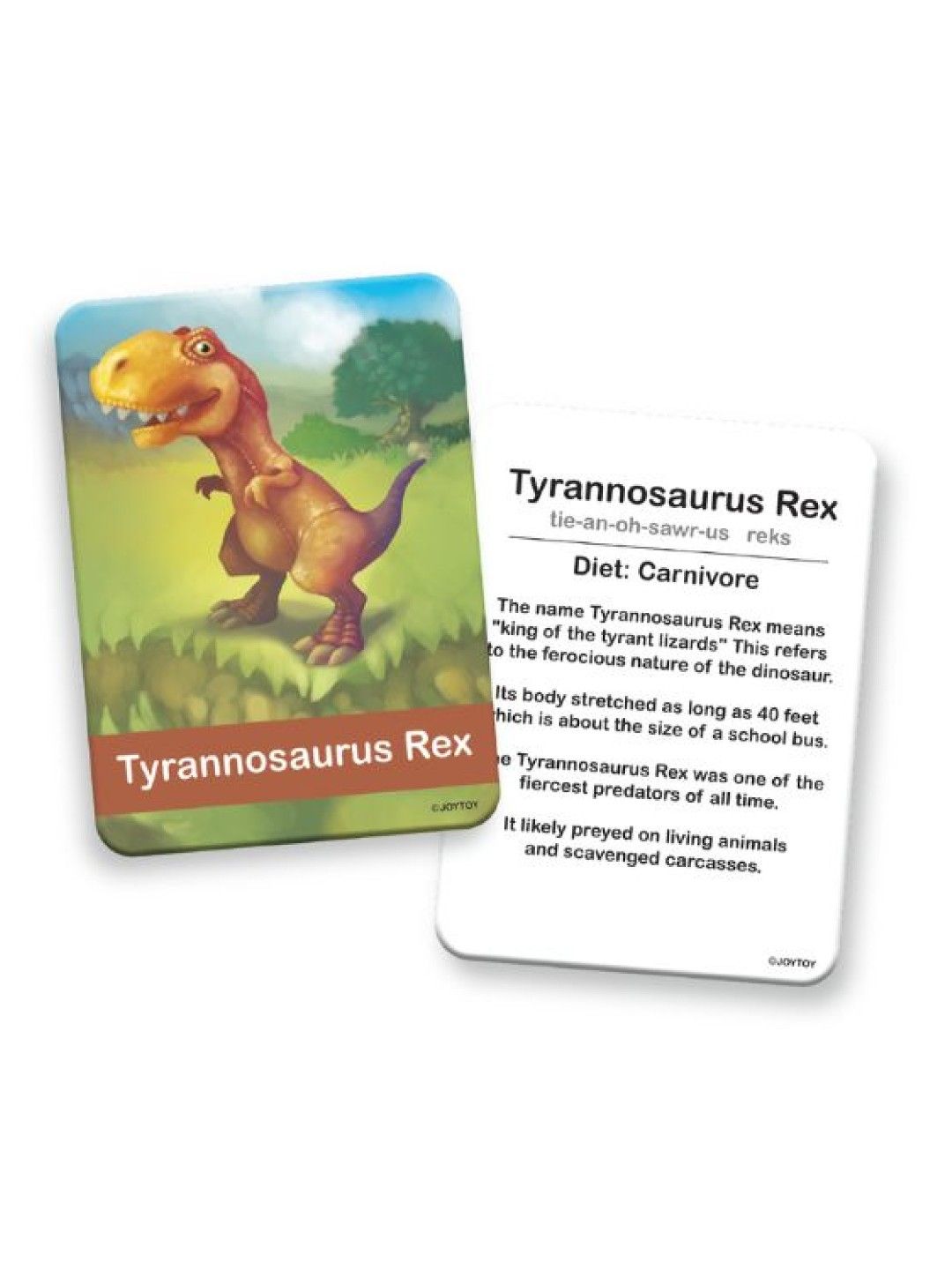 Joytoy Dinosaurs Flashcards (No Color- Image 2)