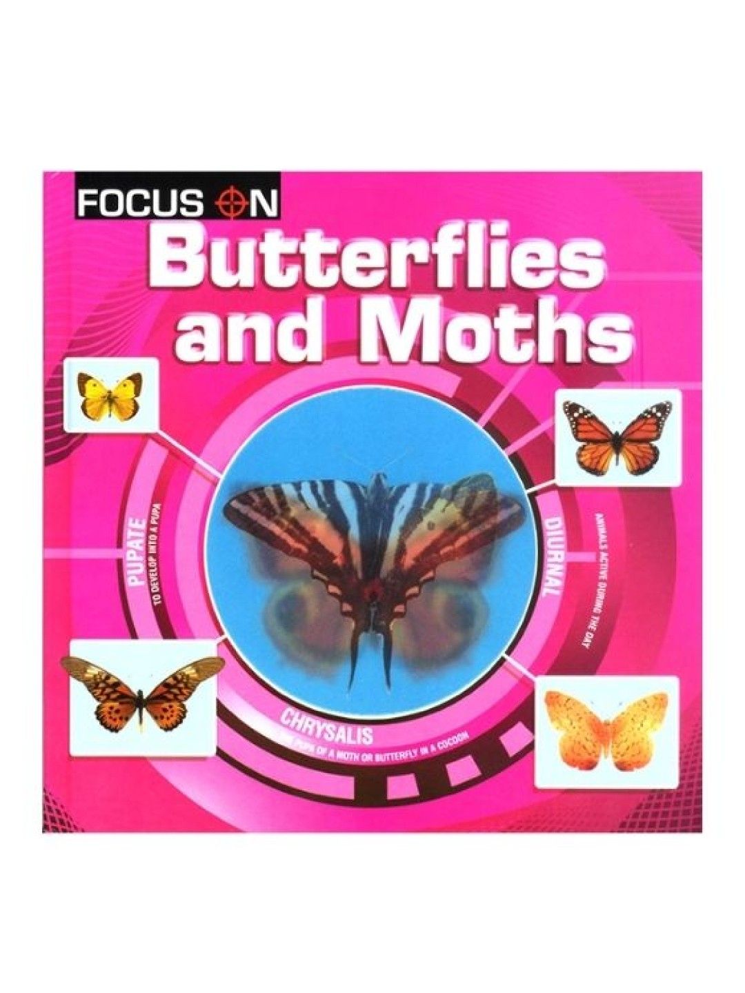Learning is Fun Focus On - Butterflies And Moths (No Color- Image 1)