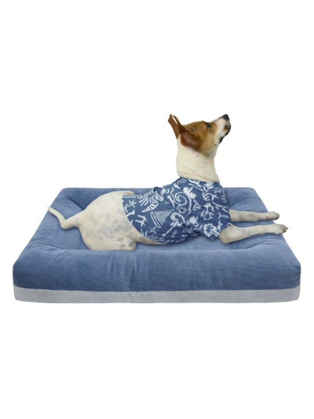 PUPKITS French Blue Geyser - Pet Mat (No Color- Image 2)