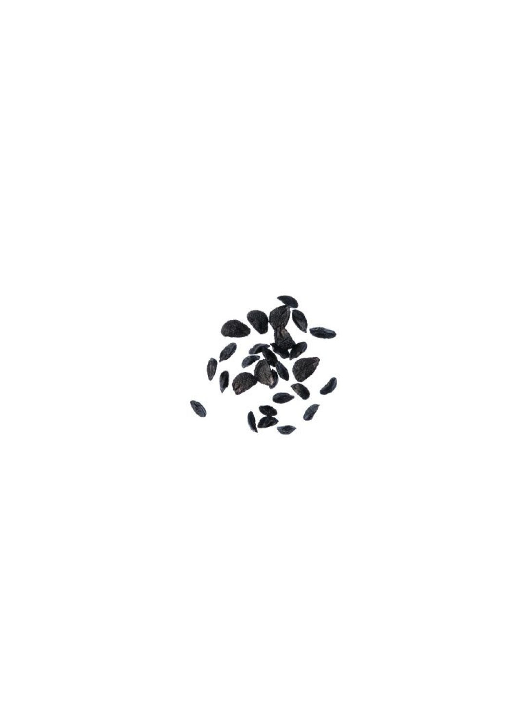 Qubo PH Garlic Chives DIY Garden Kit (No Color- Image 4)