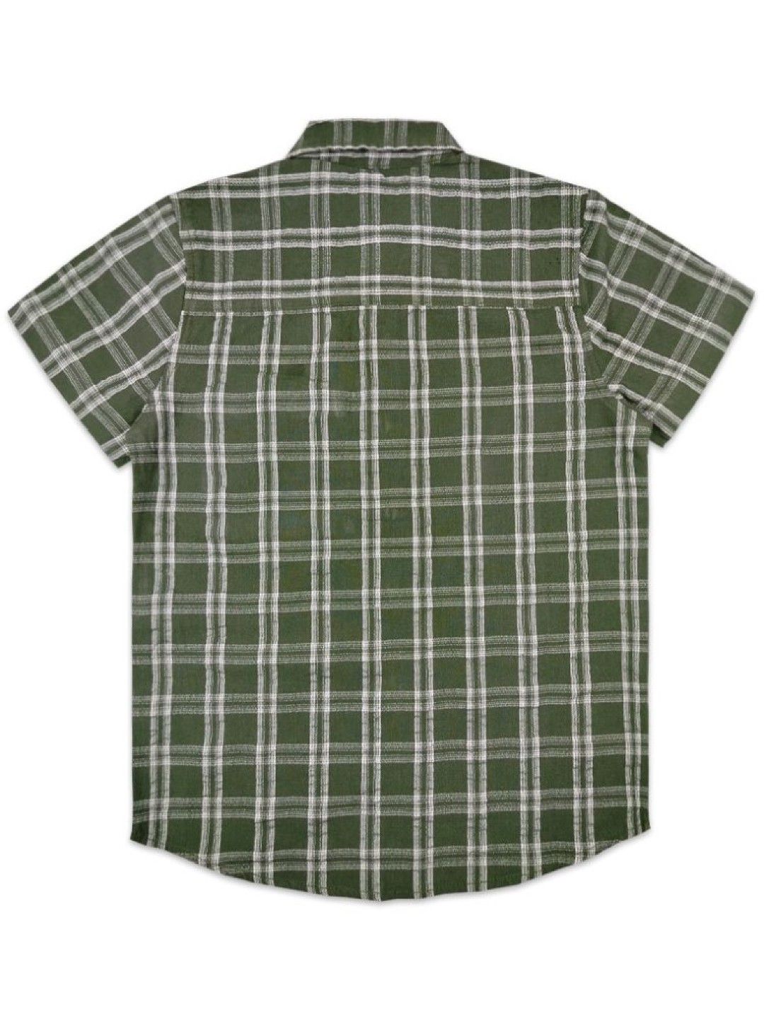 Grizzly Boys Checkered Polo (Green- Image 2)