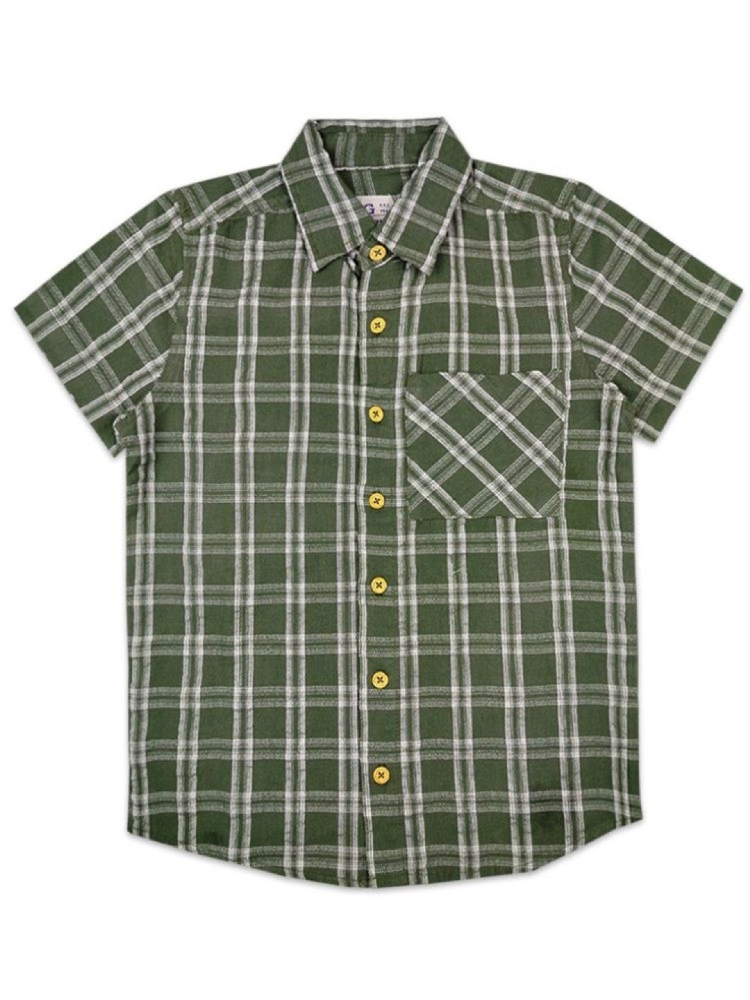Grizzly Boys Checkered Polo (Green- Image 1)