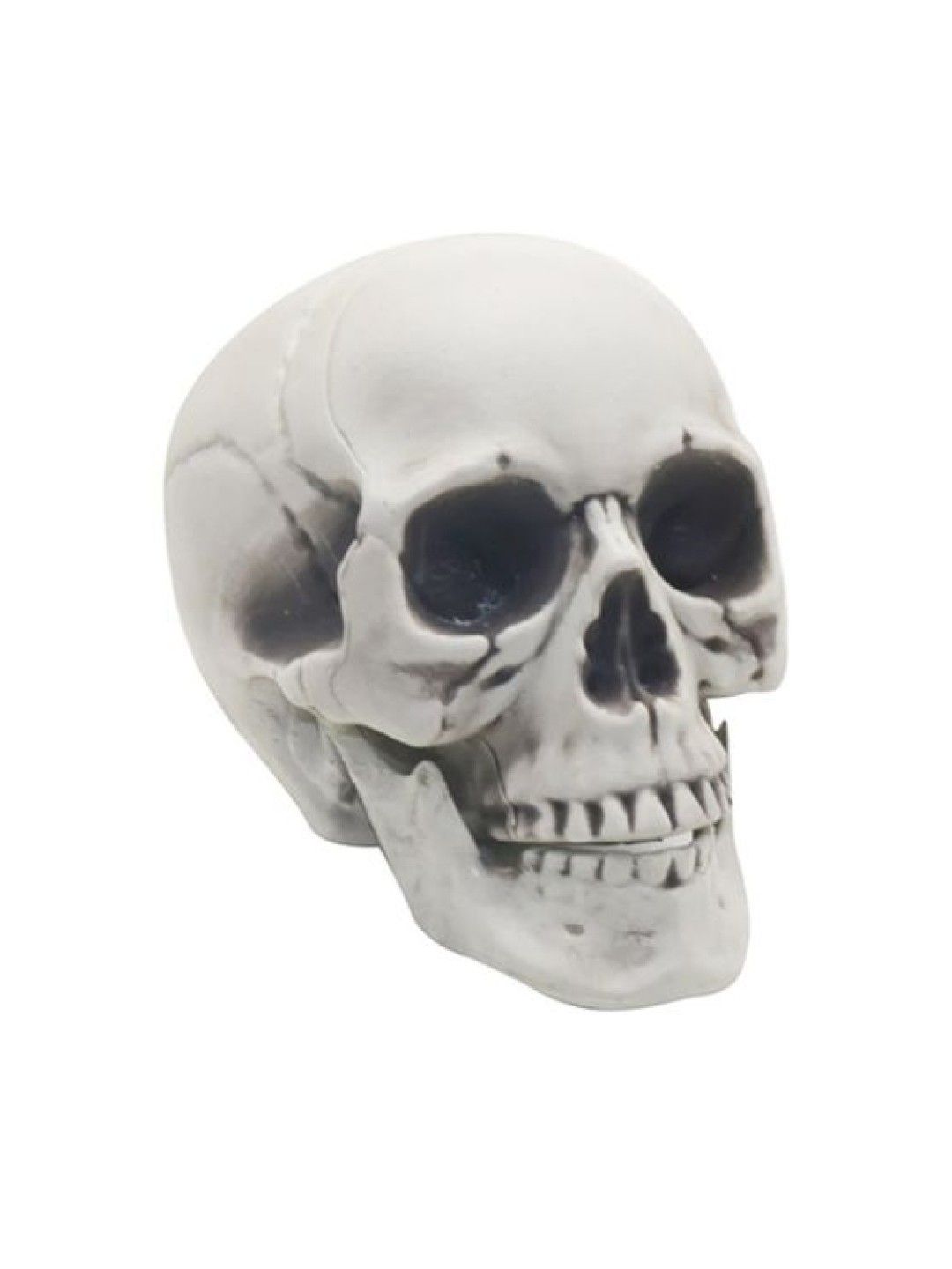 Elves of the Party Halloween Decor: Skeleton Skull