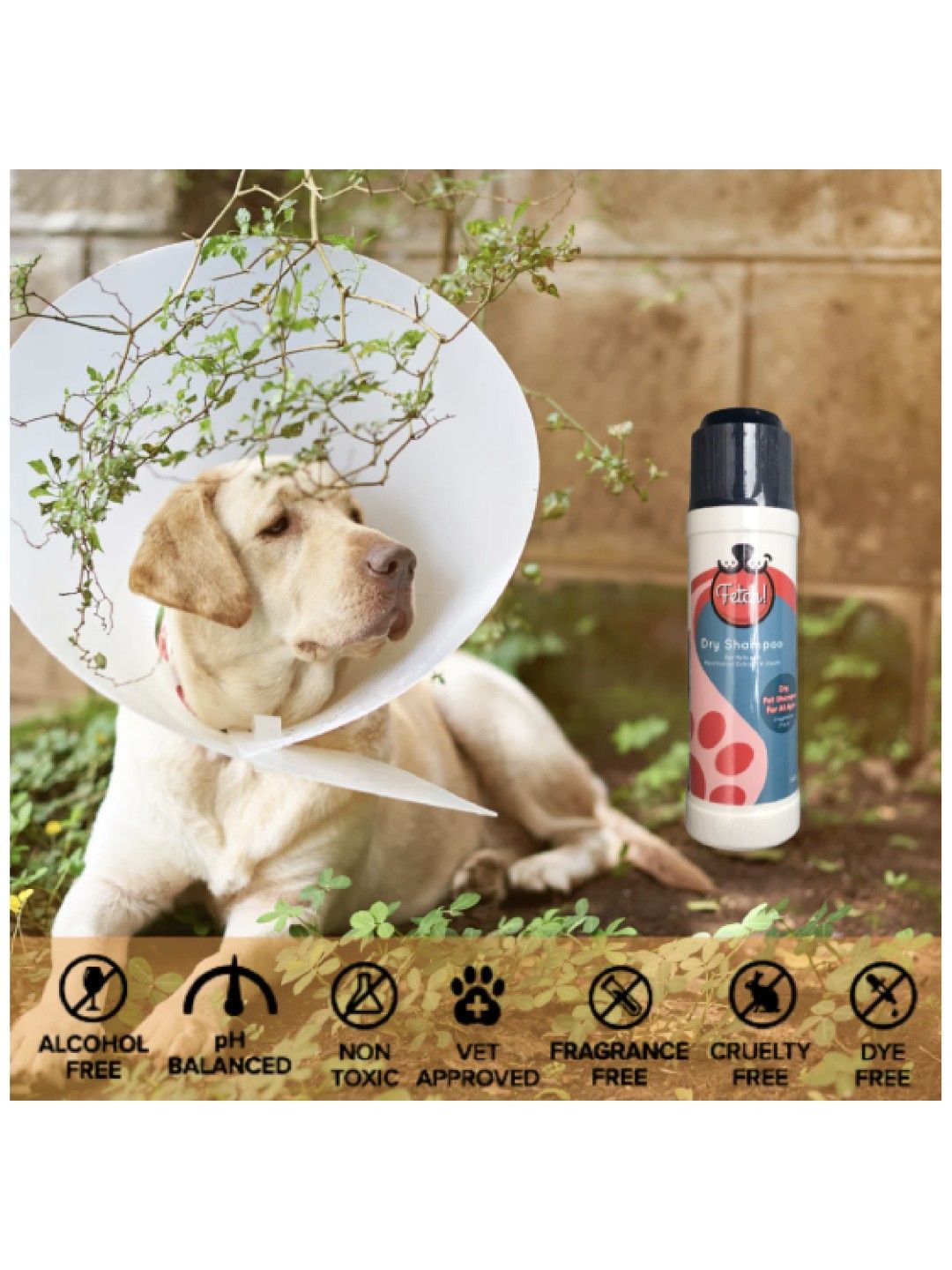 Fetch! Naturals Natural Persimmon Dry Shampoo for Pets (100g) (No Color- Image 2)