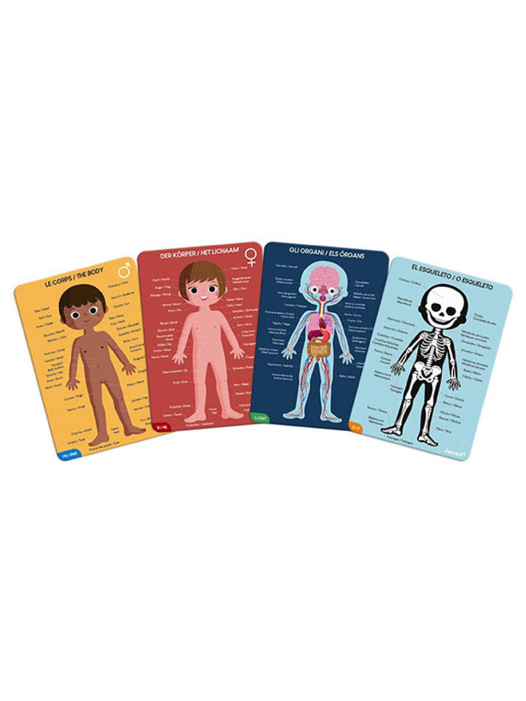 Janod Educational Puzzle - Human Body