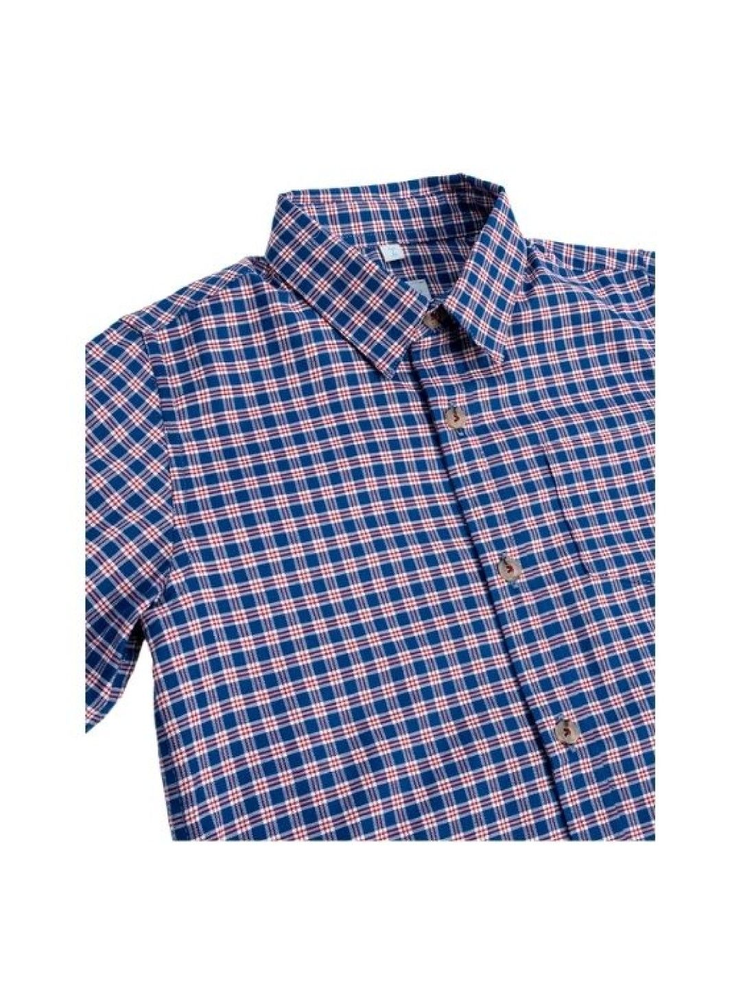 Treehouse Boys' Long Sleeves Checkered Shirt (Blue- Image 3)