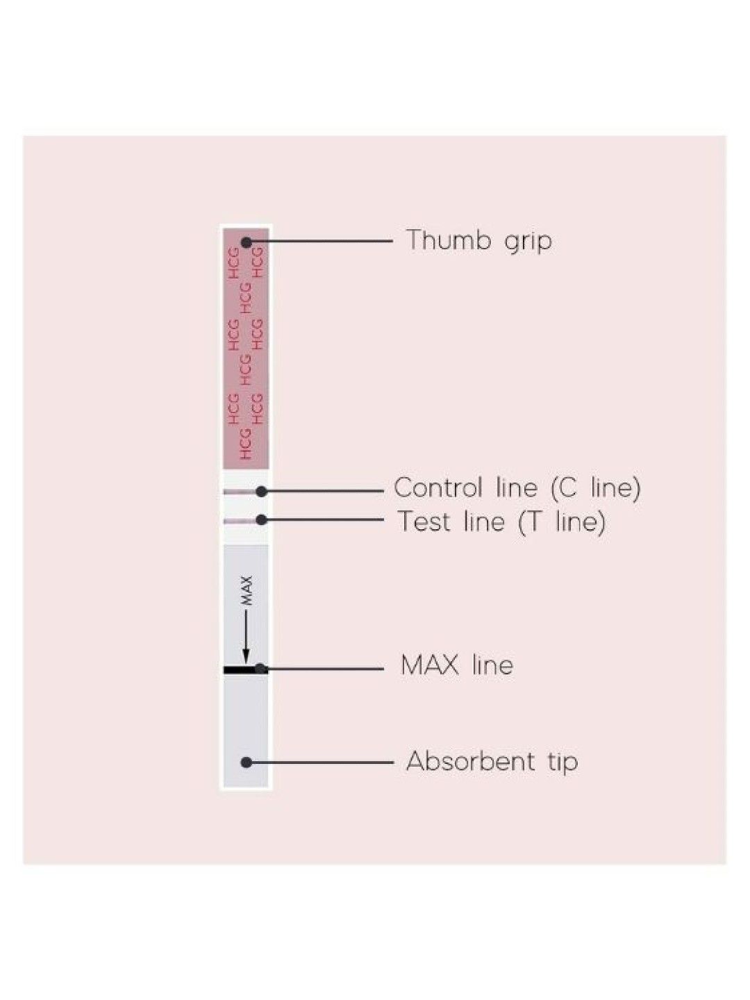 Wondfo One Step Pregnancy Strip Test HCG Home Urine (20pcs) (No Color- Image 4)