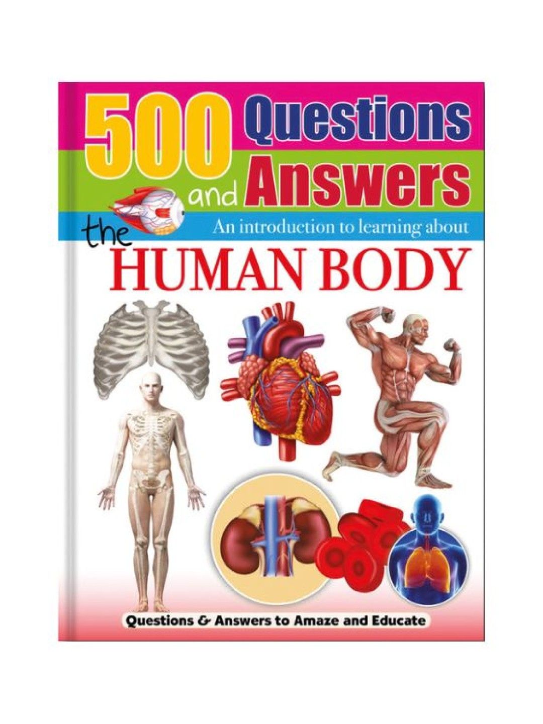 Learning is Fun 500 Questions And Answers - The Human Body (No Color- Image 1)